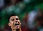 开云体育APP下载-世界级足球赛事中球员怒放绽放