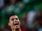 开云体育APP下载-世界级足球赛事中球员怒放绽放