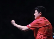 开云体育在线-比利时乒乓球队力克德国乒乓球队，许昕打破历史纪录的简单介绍