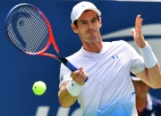 开云足球直播-世界网球队血洗英国网球队，穆雷高光表现