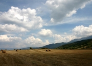 开云官方app入口-新王登基之夜，拉梅洛·鲍尔导演湖人爆冷鹈鹕逆袭大戏