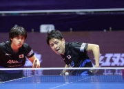 开云下载-关于奥地利队鏖战德国队，林高远统治全场的信息