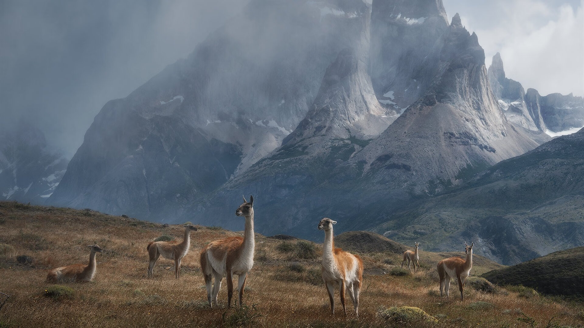 佩德里状态火热引领战术革命，巴黎新阵完胜厄瓜多尔展现南美足球新思辨