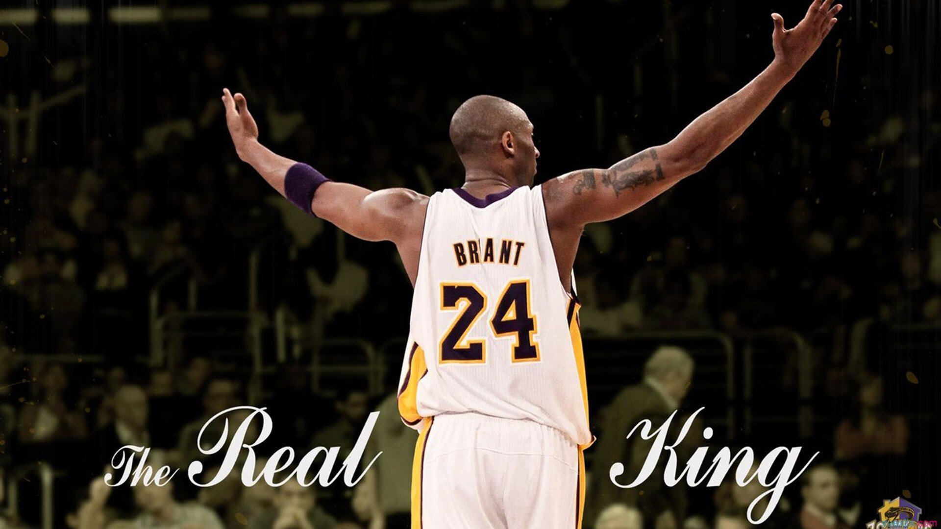 波兰队轻取中国队，张本智和统治全场